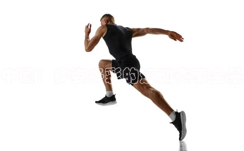 3377体育网站入口下载