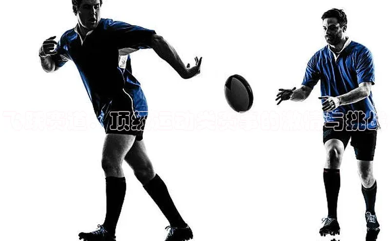 3377体育app官方下载