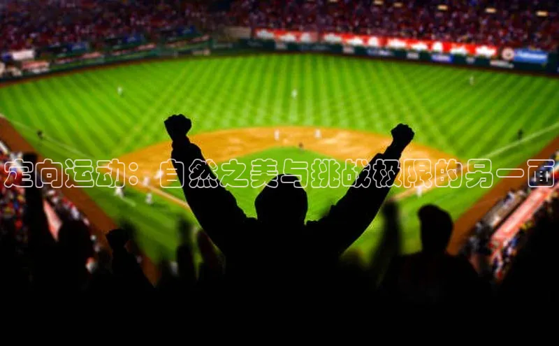 3377体育网站平台登录