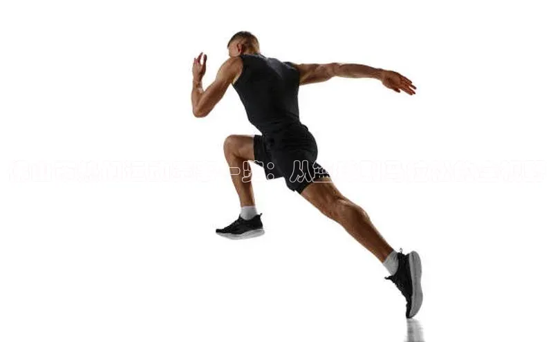 3377体育官网下载