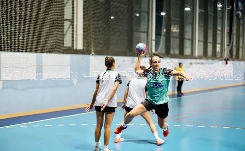 3377体育网站入口下载