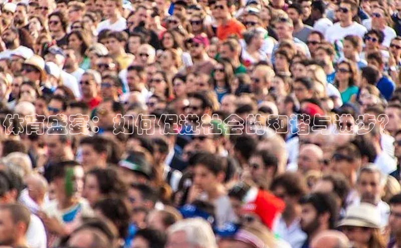 3377体育网站入口下载