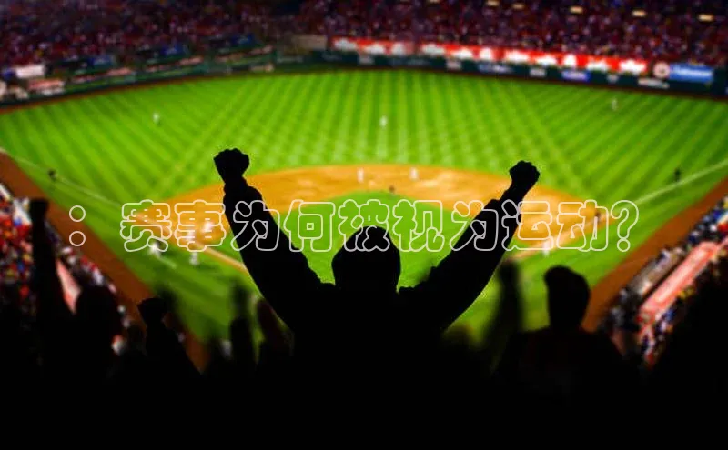 3377体育官网入口网页版