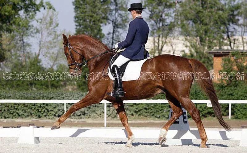 3377体育官网下载