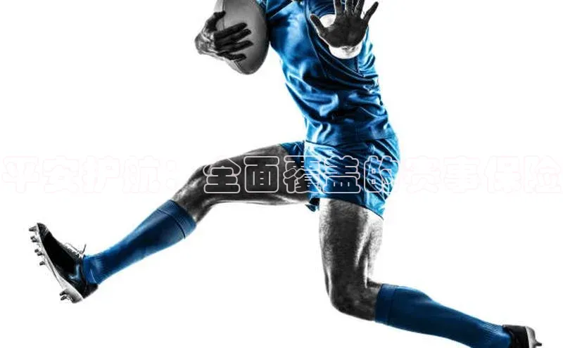 3377体育app登录入口手机版