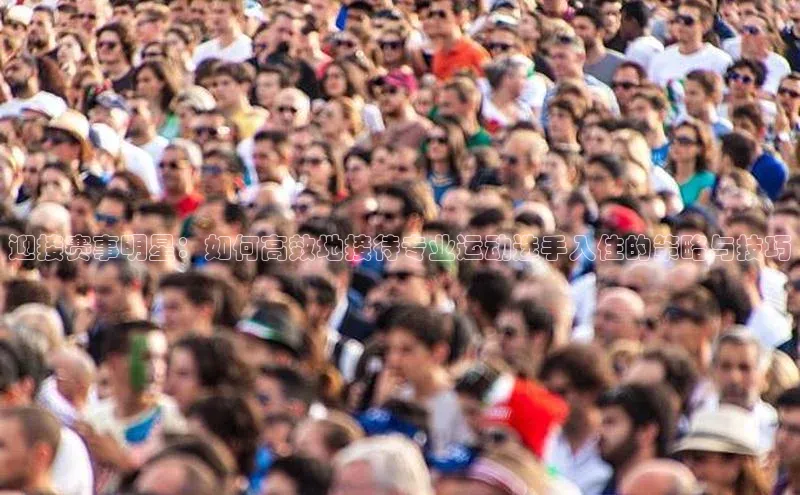 3377体育网站平台登录